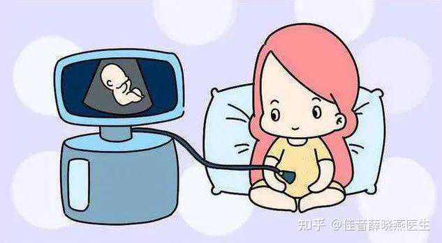 供卵、赠卵、捐卵容易混淆，一文讲清三者区别