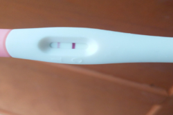 卵子质量与年龄：高龄女性必须知道的问答